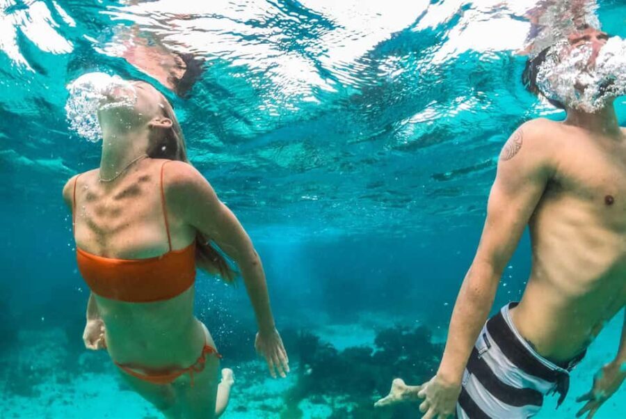 Montego Bay: Full-Day Speedboat Trip to Negril - Practical Details and What to Expect