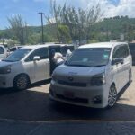 Montego Bay Hotels Private Transfers - What Reviewers Are Saying