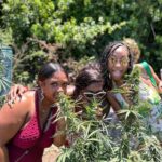 Montego Bay: Marijuana Farm and Bird Sanctuary Tour - Deep Dive into the Experience