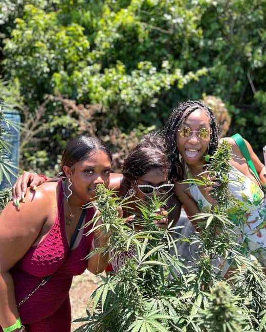 Montego Bay: Marijuana Farm and Bird Sanctuary Tour - Deep Dive into the Experience