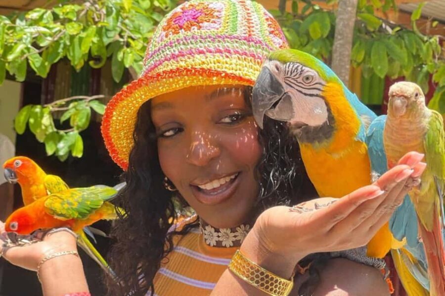 Montego Bay: Marijuana Farm and Bird Sanctuary Tour - What You Can Expect from the Itinerary