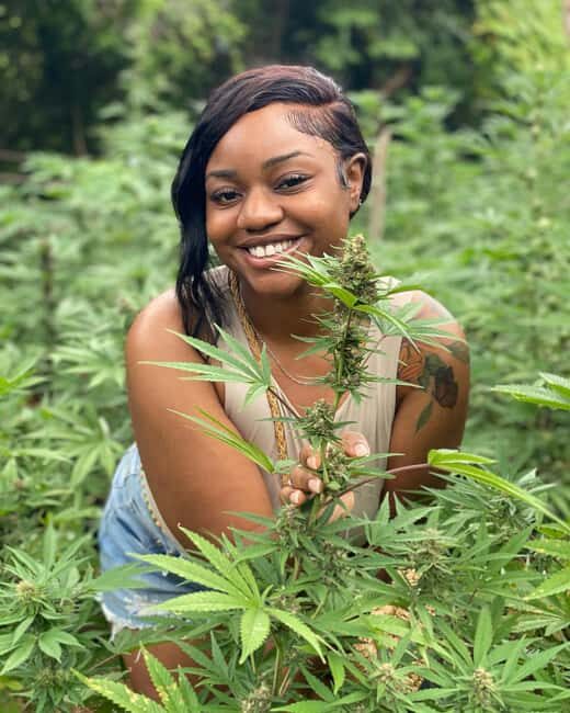 Montego Bay Marijuana Farm Tour - Tour Itinerary Breakdown