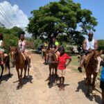 Montego Bay: Oceanfront Horseback Ride at Braco Stables - What the Itinerary Looks Like