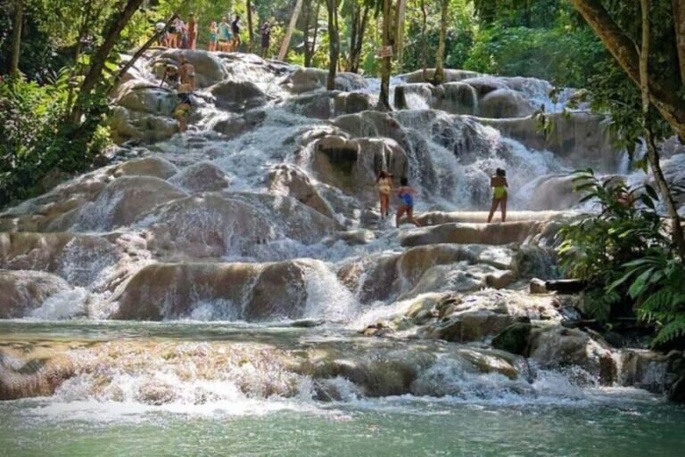 Montego Bay: Private Dunn's River Falls and Blue Hole Tour - What to Expect During the Tour