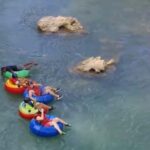 Montego Bay: Private River Tubing Adventure - What to Expect During the River Tubing