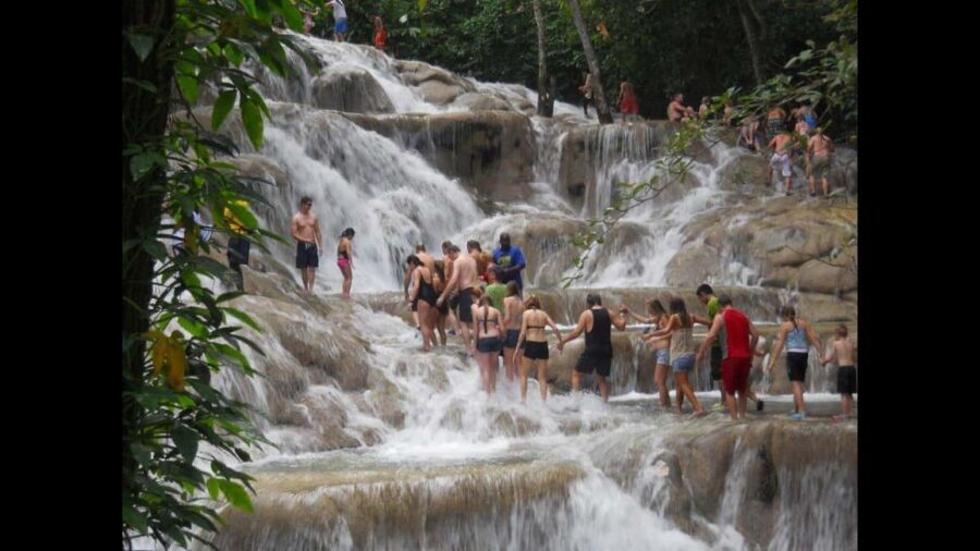 Montego Bay: River Rafting and Dunn's River Falls Day Trip - Real Tour Experience Highlights