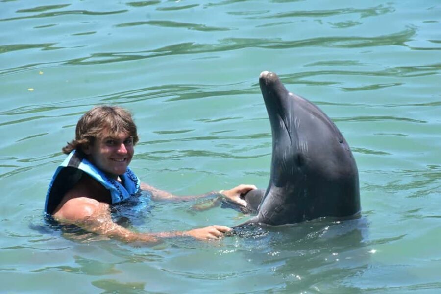Montego Bay: Swim With The Dolphins Adventure in Lucea - Transportation and Group Size
