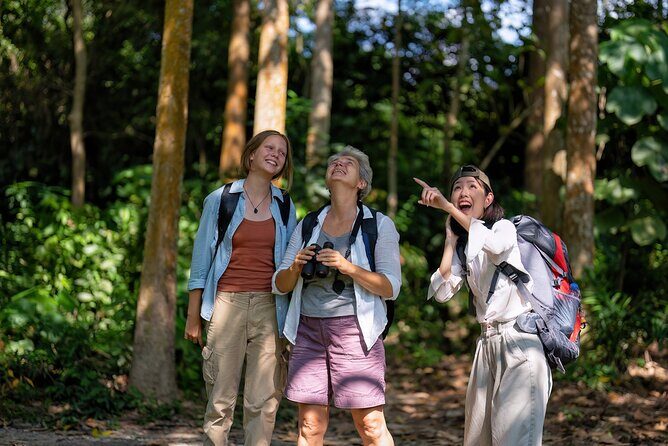 Montego Bay Tour to Blue Hole & Dunns River Falls - The Logistics: Transport, Timing, and Group Size