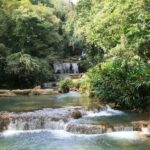 Montego Bay: YS Falls and Appleton Rum Private Tour by Van - A Closer Look at the Itinerary and Experiences