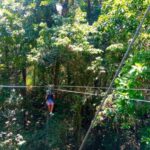 Montego Bay: Zip-Line Rainforest Tour with Pool & Gardens - What Sets This Tour Apart