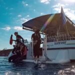 Mooloolaba: Snorkel with Turtles Mudjimba Island - Who Will Love This Tour?