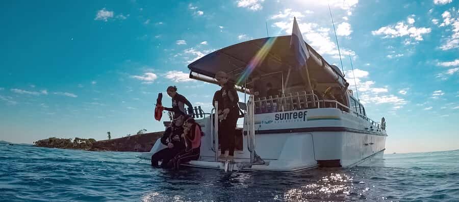 Mooloolaba: Snorkel with Turtles Mudjimba Island - Who Will Love This Tour?