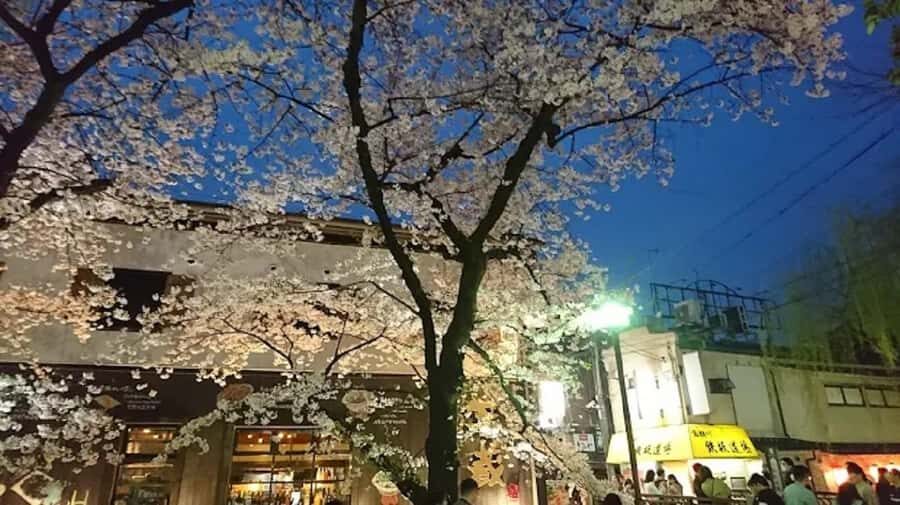 Moonlit Whispers of Kyoto:A Guided Romantic Night Walk Tour - The Practicalities: What to Know