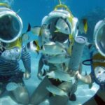 Moorea: Aquablue Helmet Underwater Walking Experience - What is the Aquablue Helmet Underwater Walking Experience?