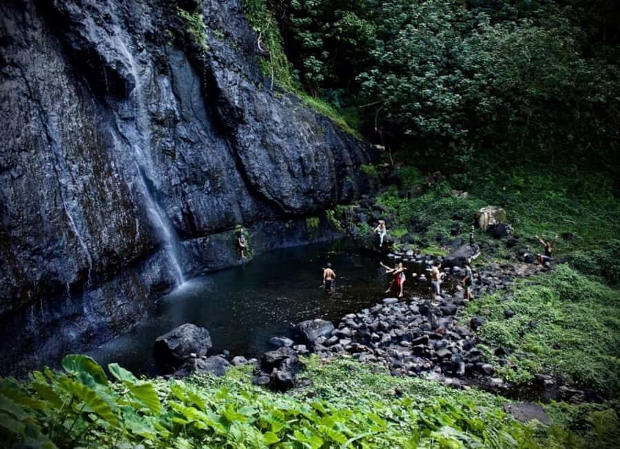 Moorea: Island Tour with Waterfall Hike and Lunch - The Belvedere – Moorea’s Highest Viewpoint
