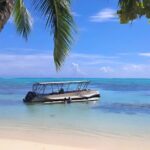 Moorea Lagoon Cruise 3 hours Snorkeling Tour - Practical Tips for Your Tour