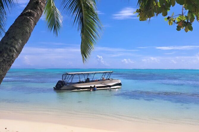 Moorea Lagoon Cruise 3 hours Snorkeling Tour - Practical Tips for Your Tour