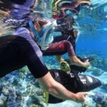 Moorea: Sea Scooter Snorkeling Tour - The Experience: A Well-Structured Journey into Moorea’s Marine World