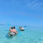 Moorea: Transparent Kayak Day Trip - What Sets This Tour Apart