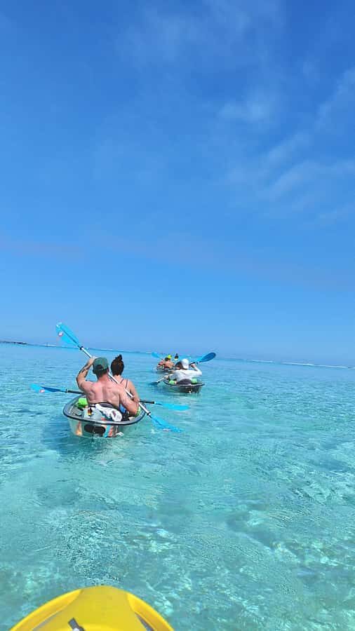 Moorea: Transparent Kayak Day Trip - What Sets This Tour Apart