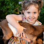 Morning Farm Experience near Gympie & Noosa - Final Thoughts: Is It Worth It?