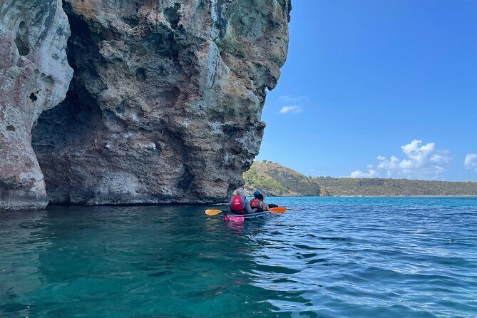 Morning Kayaking Tour to Little Bay - Who Will Love This Tour?