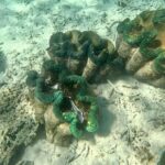 Moso Blue Cave Day Tour - What Makes This Tour Stand Out?