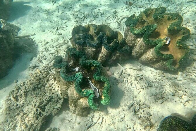 Moso Blue Cave Day Tour - What Makes This Tour Stand Out?