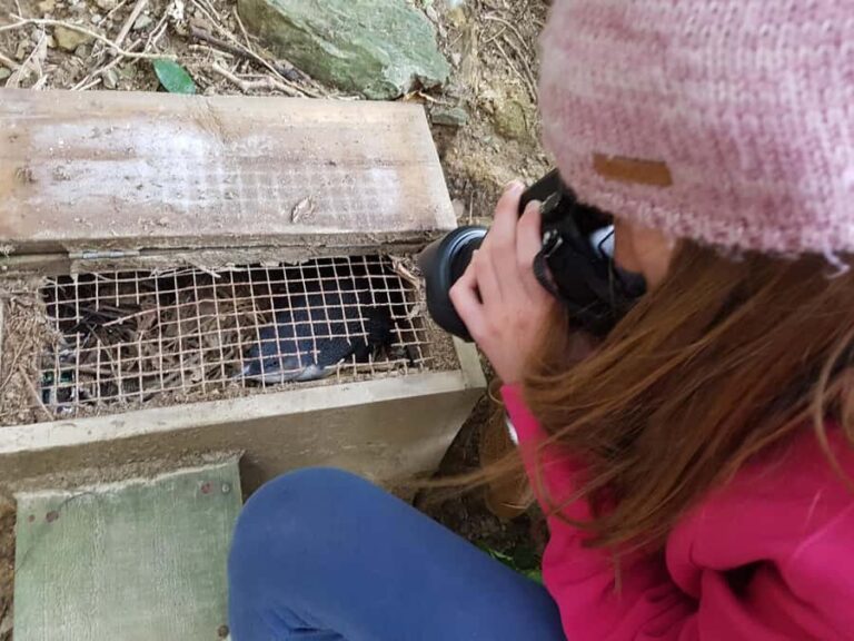 Motuara Island Sanctuary: Wildlife & Dolphin Watching Tour - Who Will Love This Tour?