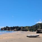 Motuihe Island Day Trip Ferry from Auckland - Practical Details for Your Day Trip