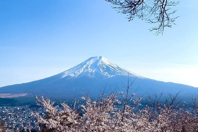 Mount Fuji Adventure Tour from Tokyo with English Guide - Who Would Love This Experience?