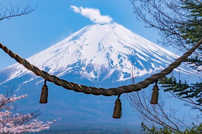 Mount Fuji and Gotemba Outlets Adventure Day Tour - What Makes This Tour Stand Out