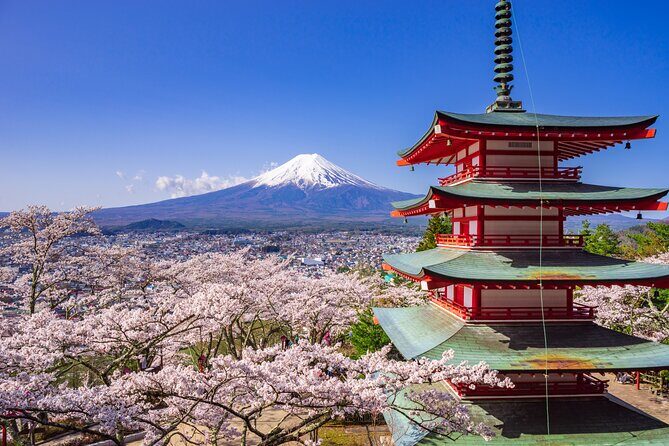 Mount Fuji Customize Private Day Trip with Driver From Tokyo. - Why It’s a Great Choice