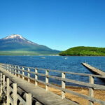 Mount Fuji Flower Viewing Limited Gotemba Outlet Tour - Transportation & Guides