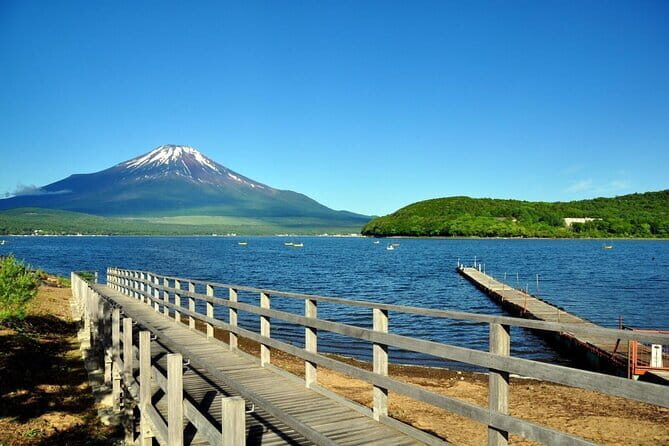 Mount Fuji Flower Viewing Limited Gotemba Outlet Tour - Transportation & Guides