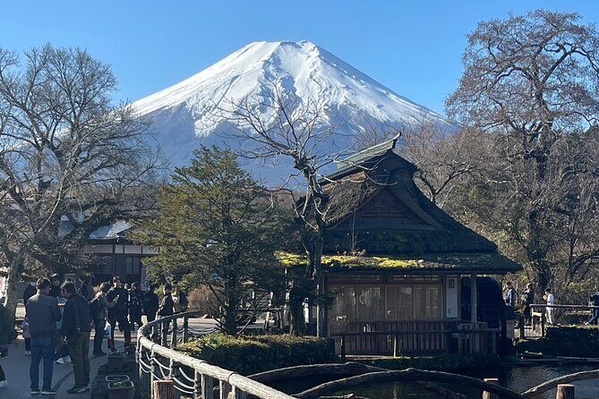 Mount Fuji Full Day Customize Private Tour with English Guide - The Sum Up