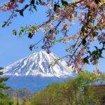 Mount Fuji Full-Day Private Tour from Tokyo (Customizable) - Final Thoughts: Is This Tour Worth It?