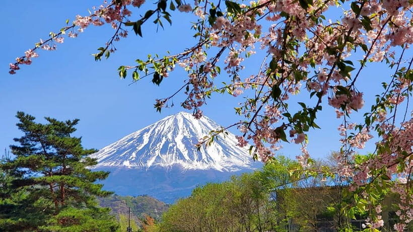 Mount Fuji Full-Day Private Tour from Tokyo (Customizable) - Final Thoughts: Is This Tour Worth It?