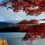 Mount Fuji Full-Day Private Tour from Tokyo (Customizable) - Who Will Love This Tour?