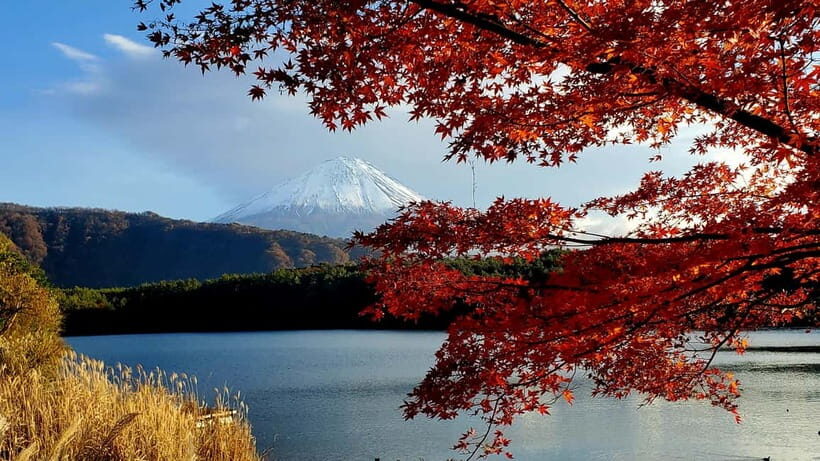 Mount Fuji Full-Day Private Tour from Tokyo (Customizable) - Who Will Love This Tour?