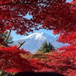 Mount Fuji Full Day Private Tour from Tokyo (Customizable) - Transport & Practical Details