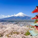 Mount Fuji & Hakone: 1-Day Private Van Tour with Hotel Pick-Up - Value and Practical Considerations