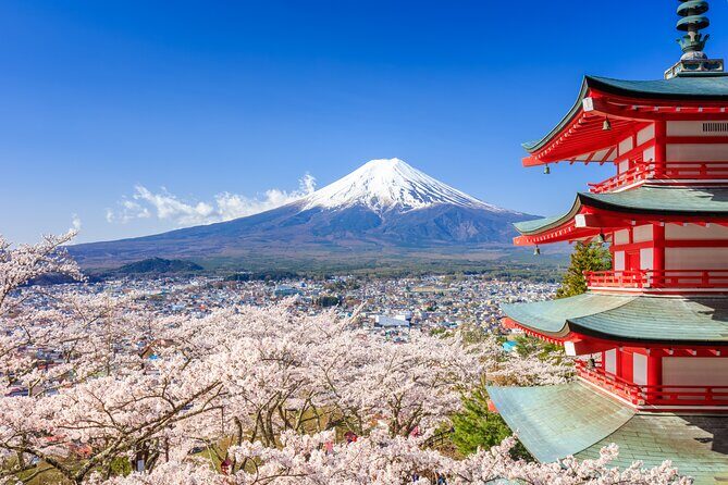 Mount Fuji & Hakone: 1-Day Private Van Tour with Hotel Pick-Up - Value and Practical Considerations