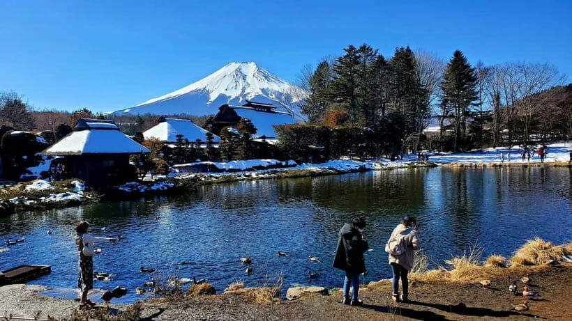 Mount Fuji & Hakone Full-Day Private Tour (Customizable) - The Practicalities and What to Expect