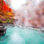 Mount Fuji - Hakone & Onsen Full Day Private Tour - The Experience: Authenticity & Practicality