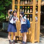 Mount Fuji Kawagoe and Hikawa Shrine Day Trip - Who Should Consider This Tour?