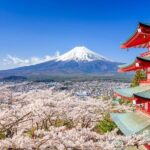 Mount Fuji Kawagoe and Hikawa Shrine Day Trip - Who Would Love This Experience?