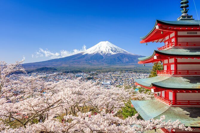 Mount Fuji Kawagoe and Hikawa Shrine Day Trip - Who Would Love This Experience?