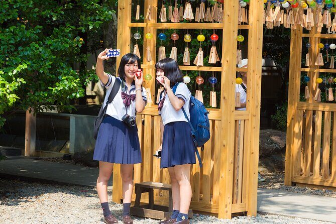 Mount Fuji Kawagoe and Hikawa Shrine Day Trip - Who Should Consider This Tour?