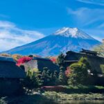 Mount Fuji Private Day Tour From Tokyo (Customizable) - Transportation and Comfort